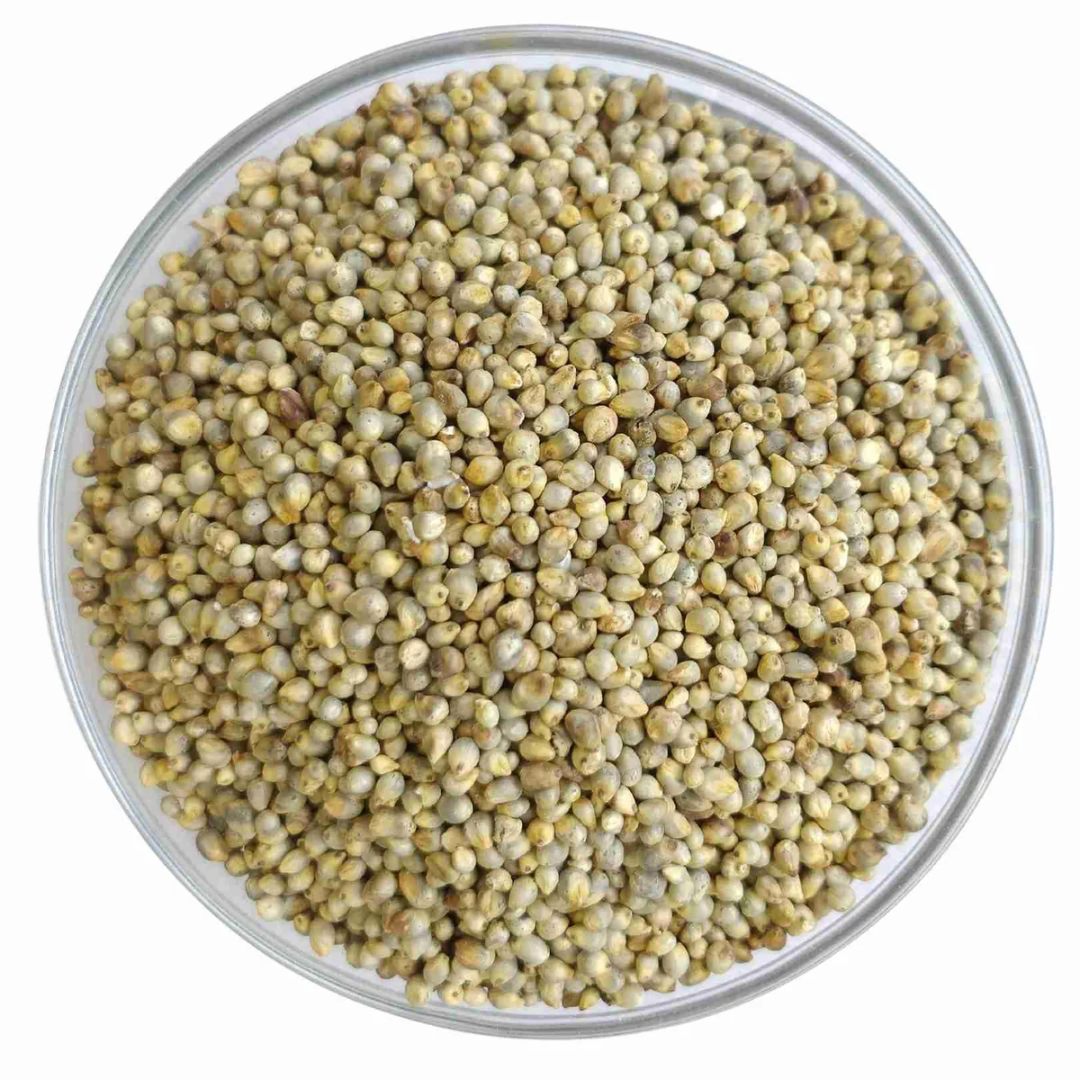 Bajra (Pearl Millet)